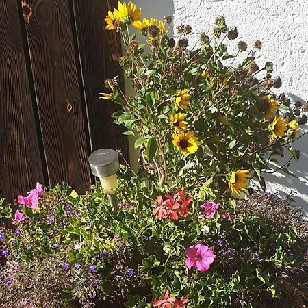 Familie Stoier * Reichenau an der Rax