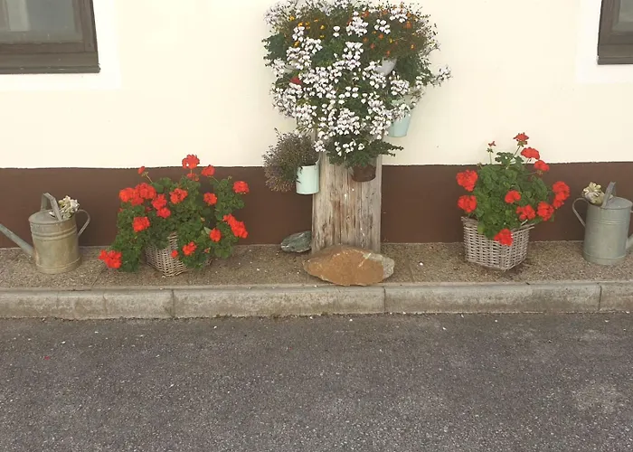 Familie Stoier 팜스테이 *