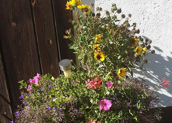 Familie Stoier * رايشناو