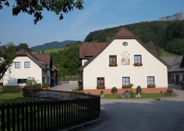 Familie Stoier رايشناو